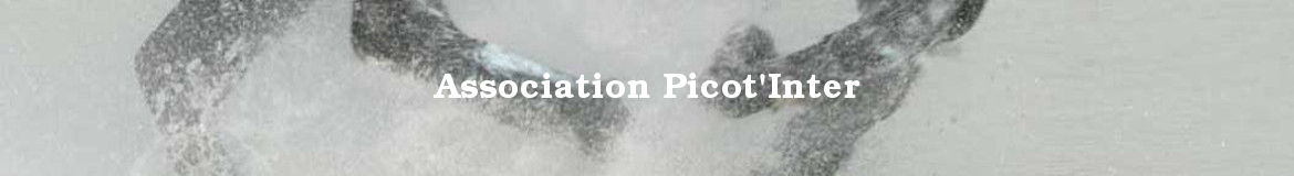 Association Picot'Inter